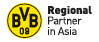 BVB